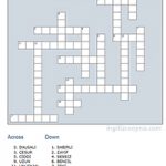 8.Sınıf 3.Ünite Bulmaca